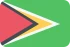 Marketing online Guyana