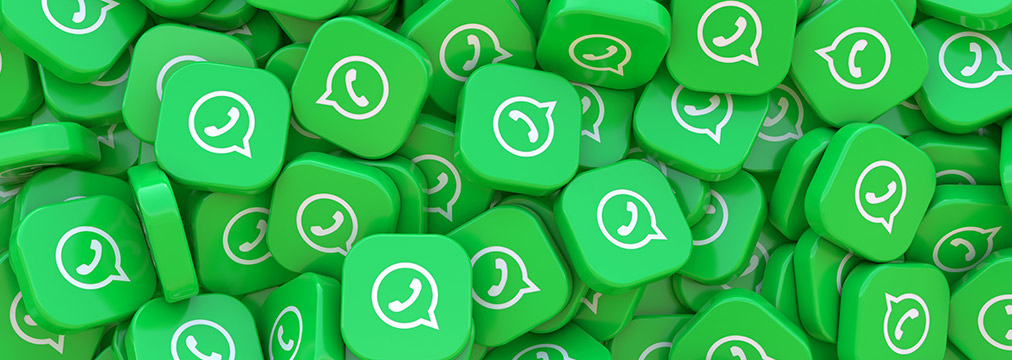 Bulk WhatsApp